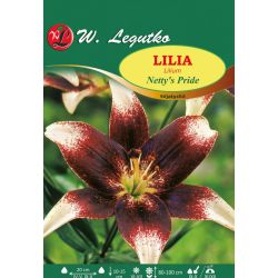 Asijská lilie - Netty`s Pride - Cibule a oddenky - W. Legutko Asijská lilie - Netty`s Pride - Cibule a oddenky - W. Legutko