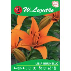 Lily - Brunello - Asijská - oranžová - 1 ks. - Cibule a oddenky - W. Legutko