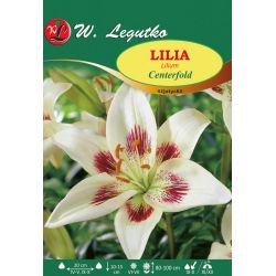 Lily - Centerfold - bílá a fialová - Cibule a oddenky - W. Legutko