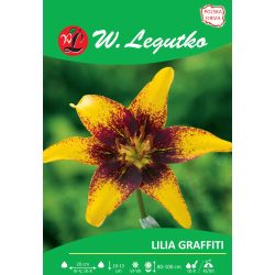 Lily - Graffiti - Asijská - žlutá - 1 ks. - Cibule a oddenky - W. Legutko