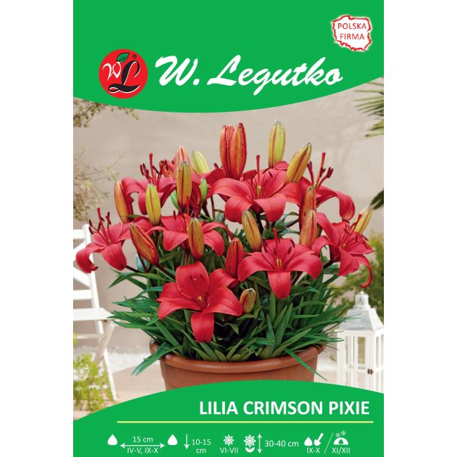 Lily - Crimson Pixie - Asijská - Trpasličí - Červená - 1 ks. - Cibule a oddenky - W. Legutko Lily - Crimson Pixie - Asijská - Trpasličí - Červená - 1 ks. - Cibule a oddenky - W. Legutko
