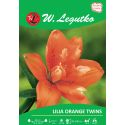Lily - Orange Twins - Asian - full - orange - 1 ks. - Cibule a oddenky - W. Legutko