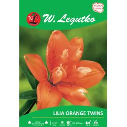 Lily - Orange Twins - Asian - full - orange - 1 ks. - Cibule a oddenky - W. Legutko