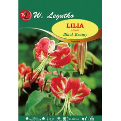 Lily - Black Beauty - druh - amarant - 1 ks. - Cibule a oddenky - W. Legutko Lily - Black Beauty - druh - amarant - 1 ks. - Cibule a oddenky - W. Legutko