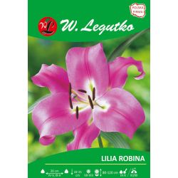 Lily - Robina - OT - dřevitá - růžová - 1 ks. - Cibule a oddenky - W. Legutko