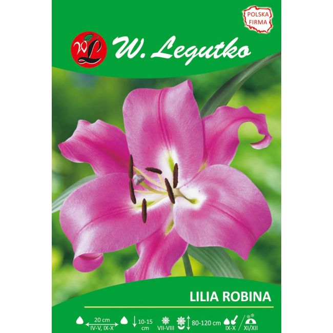 Lily - Robina - OT - dřevitá - růžová - 1 ks. - Cibule a oddenky - W. Legutko Lily - Robina - OT - dřevitá - růžová - 1 ks. - Cibule a oddenky - W. Legutko