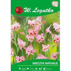 Mečík - trpaslík - Nathalie - Cibule a oddenky - W. Legutko