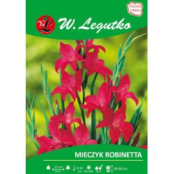 Mečík - trpaslík - Robinetta - Cibule a oddenky - W. Legutko