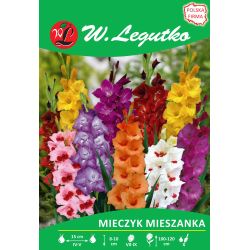 Mečík - velkokvětý - mix - 5 ks. - Cibule a oddenky - W. Legutko