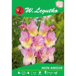 Mečík - Mon Amour - velkokvětý - 5 ks. - Cibule a oddenky - W. Legutko Mečík - Mon Amour - velkokvětý - 5 ks. - Cibule a oddenky - W. Legutko