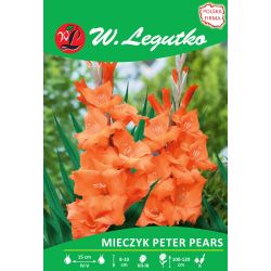 Mečík - Petr Hrušky - velkokvětý - oranžový - 5 ks. - Cibule a oddenky - W. Legutko Mečík - Petr Hrušky - velkokvětý - oranžový - 5 ks. - Cibule a oddenky - W. Legutko