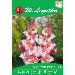 Mečík - Priscilla - velkokvětý - růžový - 5 ks. - Cibule a oddenky - W. Legutko