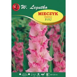 Mečík - T-512 - velkokvětý - brambořík - 5 ks. - Cibule a oddenky - W. Legutko