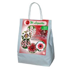 Červené a bílé složení - 29 ks. - Cibule a oddenky - W. Legutko Červené a bílé složení - 29 ks. - Cibule a oddenky - W. Legutko