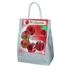 Červené složení - 20 ks. - Cibule a oddenky - W. Legutko Červené složení - 20 ks. - Cibule a oddenky - W. Legutko