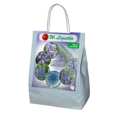 Modrá kompozice - Cibule a oddenky - W. Legutko Modrá kompozice - Cibule a oddenky - W. Legutko