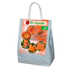 Oranžové složení - 25 ks. - Cibule a oddenky - W. Legutko Oranžové složení - 25 ks. - Cibule a oddenky - W. Legutko