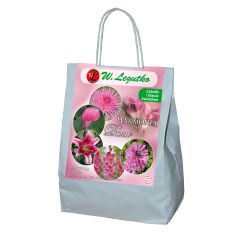 Růžové složení - 20 ks. - Cibule a oddenky - W. Legutko Růžové složení - 20 ks. - Cibule a oddenky - W. Legutko