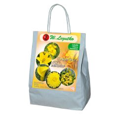 Žluté složení - 15 ks. - Cibule a oddenky - W. Legutko Žluté složení - 15 ks. - Cibule a oddenky - W. Legutko