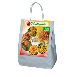 Žluté a červené složení - 12 ks. - Cibule a oddenky - W. Legutko Žluté a červené složení - 12 ks. - Cibule a oddenky - W. Legutko