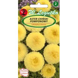 Čínská bambulová astra - žlutá - Semena - W. Legutko
