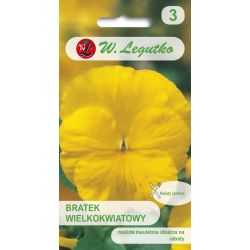 Maceška - švýcarská - Goldgelb - velkokvětá - Semena - W. Legutko