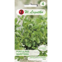 Portulaka zeleninová - zelená - Semena - W. Legutko