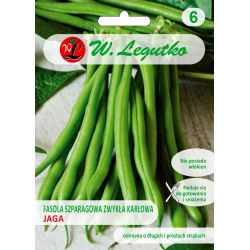 Fazole - zelené fazolky - Jaga - Semena - W. Legutko