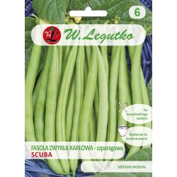 Fazole - zelené fazolky - Scuba - Semena - W. Legutko