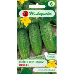 Nakládaná okurka - Odys F1 - 3g + 1g - Semena - W. Legutko
