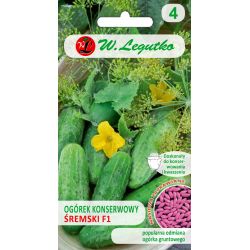 Nakládaná okurka - Śremski - us. ostřílený - Semena - W. Legutko