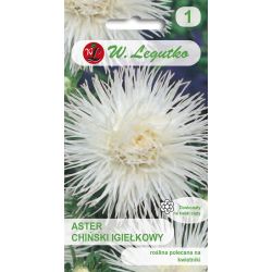 Astra - čínská - jehla - bílá - Semena - W. Legutko Astra - čínská - jehla - bílá - Semena - W. Legutko