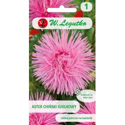Astra - čínská - jehla - růžová - Semena - W. Legutko Astra - čínská - jehla - růžová - Semena - W. Legutko