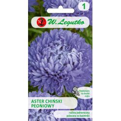 Astra - čínská - pivoňka - modrá - Semena - W. Legutko Astra - čínská - pivoňka - modrá - Semena - W. Legutko
