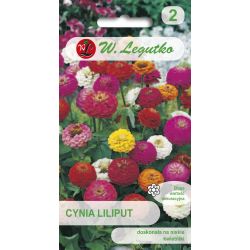 Cínie - rafinovaná - Liliput - směs - Semena - W. Legutko