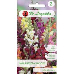 Snapdragon - vysoký - mix - Semena - W. Legutko