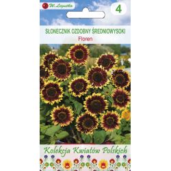 Polské květiny - Okrasná slunečnice - Floren - Semena - W. Legutko