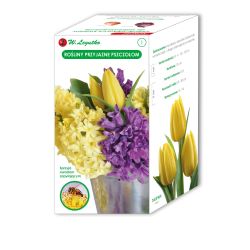 Rostliny šetrné k včelám - 12 ks. - Cibule a oddenky - W. Legutko Rostliny šetrné k včelám - 12 ks. - Cibule a oddenky - W. Legutko