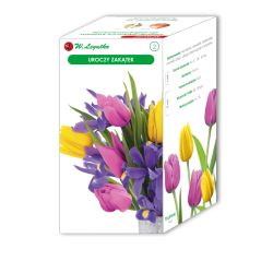 Okouzlující koutek - 20 ks. - Cibule a oddenky - W. Legutko Okouzlující koutek - 20 ks. - Cibule a oddenky - W. Legutko