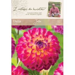 Zahradní jiřina - Jola - kulovitá - žlutočervená - 1 ks. - Cibule a oddenky - W. Legutko Zahradní jiřina - Jola - kulovitá - žlutočervená - 1 ks. - Cibule a oddenky - W. Legutko