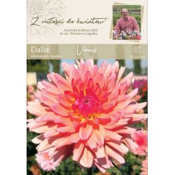 Zahradní jiřina - Venuše - dekorativní - vysoká - lososově růžová - 1 ks. - Cibule a oddenky - W. Legutko