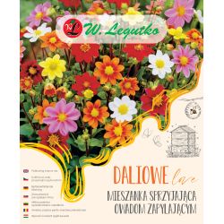 Směs na podporu opylujícího hmyzu - 5 ks. - Cibule a oddenky - W. Legutko Směs na podporu opylujícího hmyzu - 5 ks. - Cibule a oddenky - W. Legutko