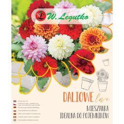 Perfektní směs pro nádoby - 5 ks. - Cibule a oddenky - W. Legutko Perfektní směs pro nádoby - 5 ks. - Cibule a oddenky - W. Legutko