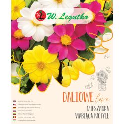 Směs přitahující motýly - 5 ks. - Cibule a oddenky - W. Legutko Směs přitahující motýly - 5 ks. - Cibule a oddenky - W. Legutko