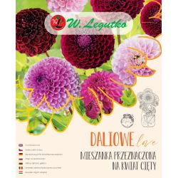 Směs určená pro řezané květiny - 5 ks. - Cibule a oddenky - W. Legutko Směs určená pro řezané květiny - 5 ks. - Cibule a oddenky - W. Legutko