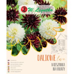 Směs na záhony - 5 ks. - Cibule a oddenky - W. Legutko Směs na záhony - 5 ks. - Cibule a oddenky - W. Legutko