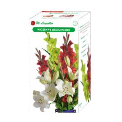 Jarní povzdech - 9 ks. - Cibule a oddenky - W. Legutko Jarní povzdech - 9 ks. - Cibule a oddenky - W. Legutko