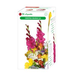 Květinová variace - 18 ks. - Cibule a oddenky - W. Legutko Květinová variace - 18 ks. - Cibule a oddenky - W. Legutko