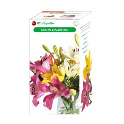 Lilac šílenství - 4 ks. - Cibule a oddenky - W. Legutko Lilac šílenství - 4 ks. - Cibule a oddenky - W. Legutko