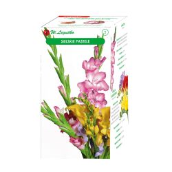 Idylické pastely - 18 ks. - Cibule a oddenky - W. Legutko Idylické pastely - 18 ks. - Cibule a oddenky - W. Legutko